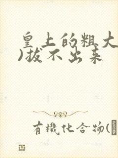 皇上的粗大(h)拔不出来