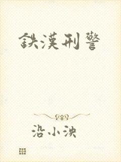 铁汉刑警封面