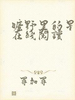 旷野里的星小说在线阅读