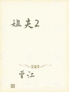 姐夫2