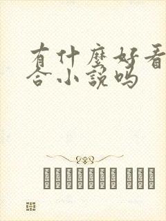 有什么好看的百合小说吗封面