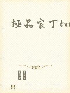 极品家丁txt