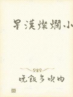星汉灿烂小说