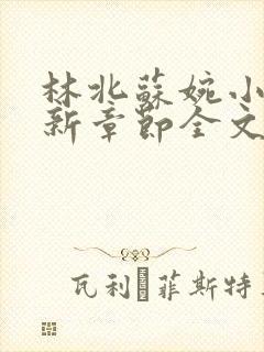 林北苏婉小说最新章节全文阅读封面