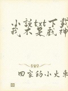 小说txt下载我不是戏神