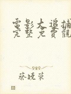 电影大追捕在线完整免费观看国语