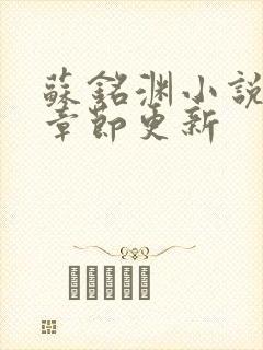 苏铭渊小说最新章节更新