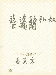 苏瑾的私奴生活笔趣阁
