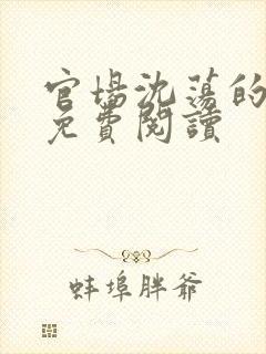 官场沈荡的小说免费阅读