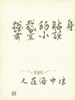 总裁的贴身兵王萧晨小说封面