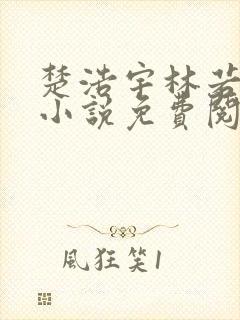 楚浩宇林若雪的小说免费阅读无弹窗