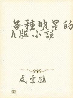 各种明星的综艺h版小说