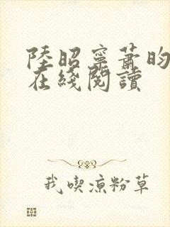 陆昭宁萧昀小说在线阅读