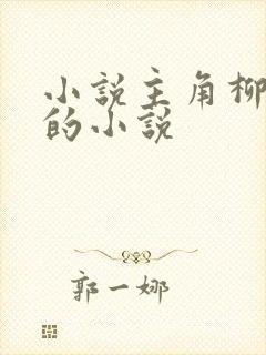 小说主角柳如烟的小说