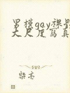 男模gay裸体大尺度写真