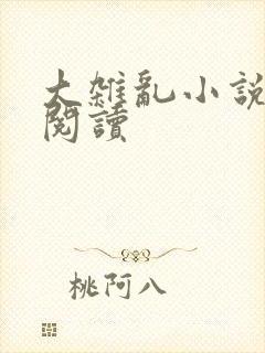 大杂乱小说目录阅读封面