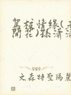 驾校情缘(老树开花)孙潇潇第一次趣笔阁