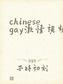 chinesegay激情视频