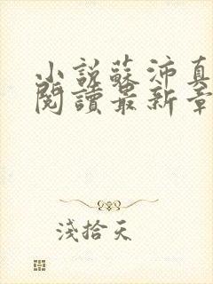 小说苏沛真全文阅读最新章节更新时间