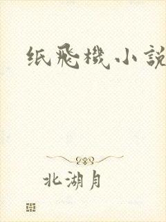 纸飞机小说