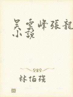 吴云峰张龙周晴小说封面