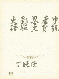 火影忍者中文国语版免费观看