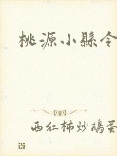 桃源小县令全集