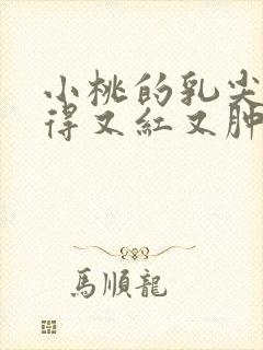 小桃的乳尖被吸得又红又肿