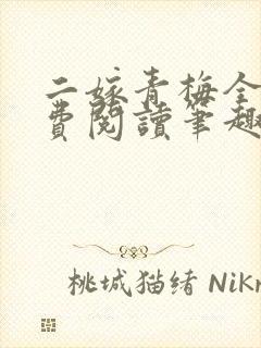 二嫁青梅全文免费阅读笔趣阁封面