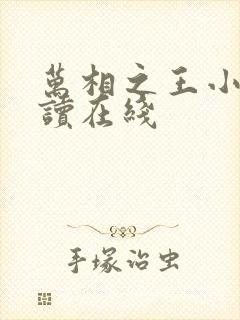 万相之王小说阅读在线