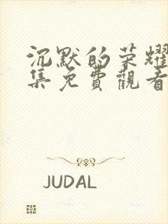 沉默的荣耀40集免费观看全集高清版