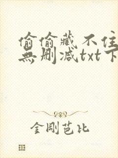 偷偷藏不住全文无删减txt下载
