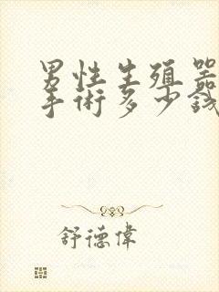 男性生殖器延长手术多少钱啊