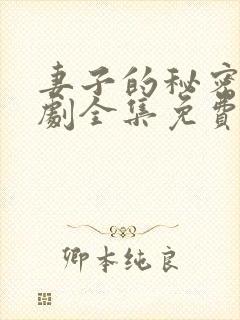 妻子的秘密电视剧全集免费观看人封面