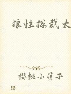 狼性总裁太凶猛