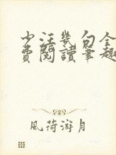 少汪几句全文免费阅读笔趣阁封面