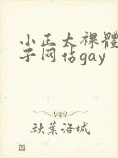 小正太裸体脱裤子网站gay