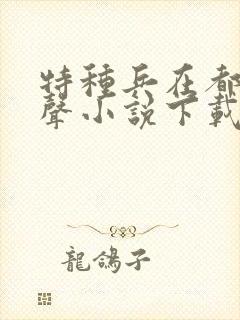 特种兵在都市有声小说下载