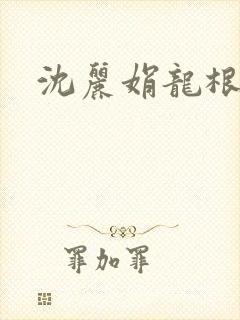 沈丽娟龙根封面