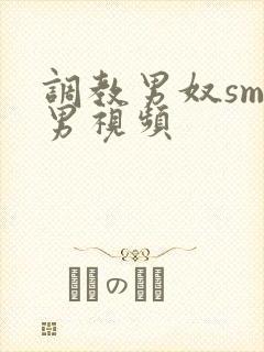 调教男奴sm男男视频封面