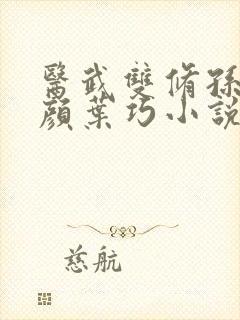 医武双修孙哲朱颜叶巧小说