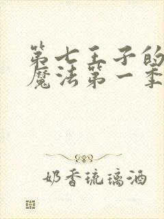 第七王子的转生魔法第一季