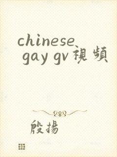 chinese gay gv视频