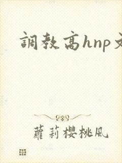 调教高hnp文