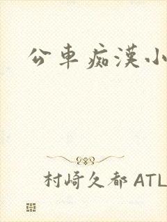 公车痴汉小说封面