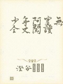 少年阿宾无删减全文阅读