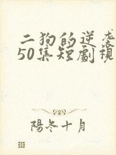 二狗的逆袭人生50集短剧视频封面