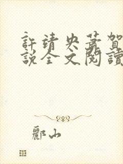 许靖央萧贺夜小说全文阅读最新章节封面