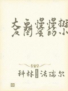 大龟慢慢挺进女友闺蜜的小说封面