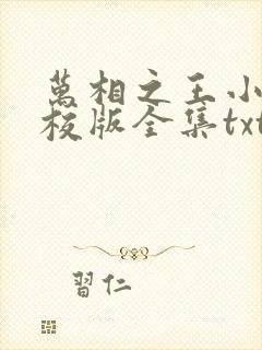 万相之王小说精校版全集txt